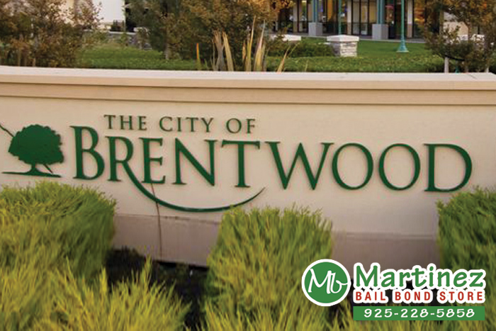 Brentwood Bail Bonds